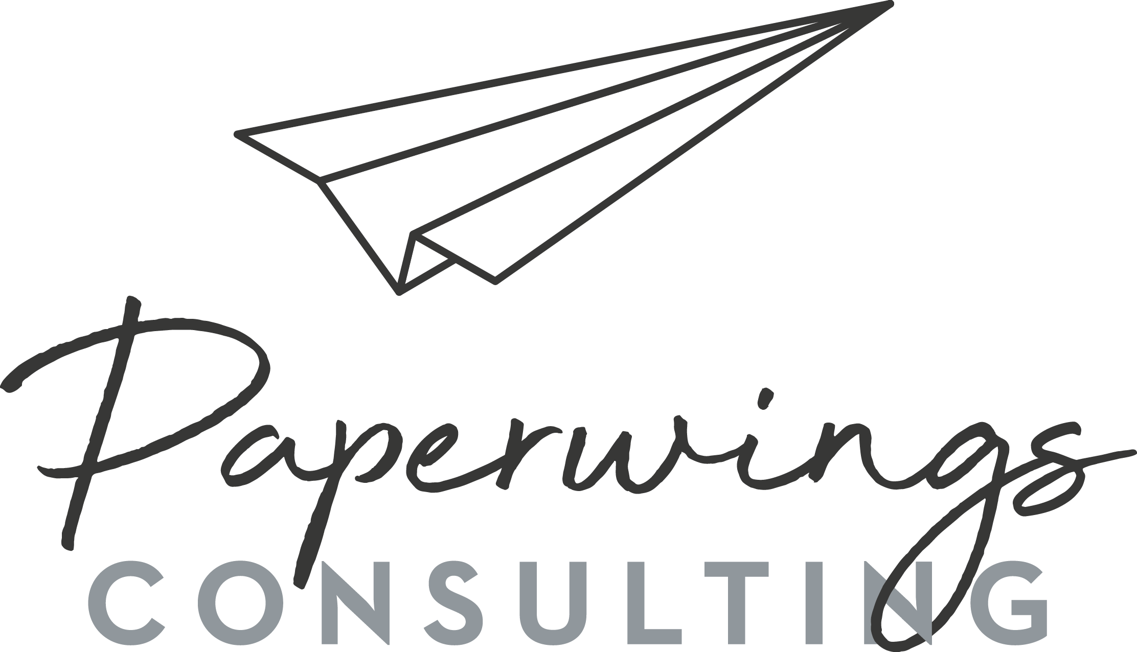 Papierflieger mit Firmenlogo Paperwings-Consulting