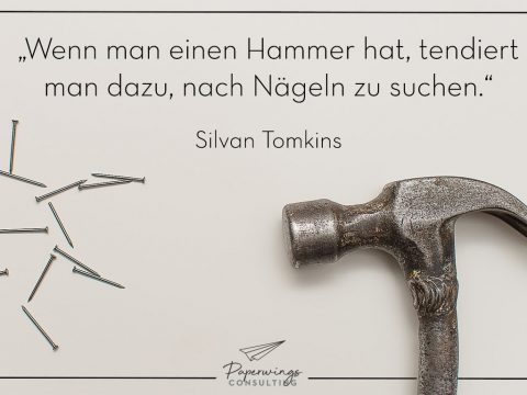 Managmentzitat: Wer als Werkzeug nur einen Hammer hat, sieht in jedem Problem einen Nagel.