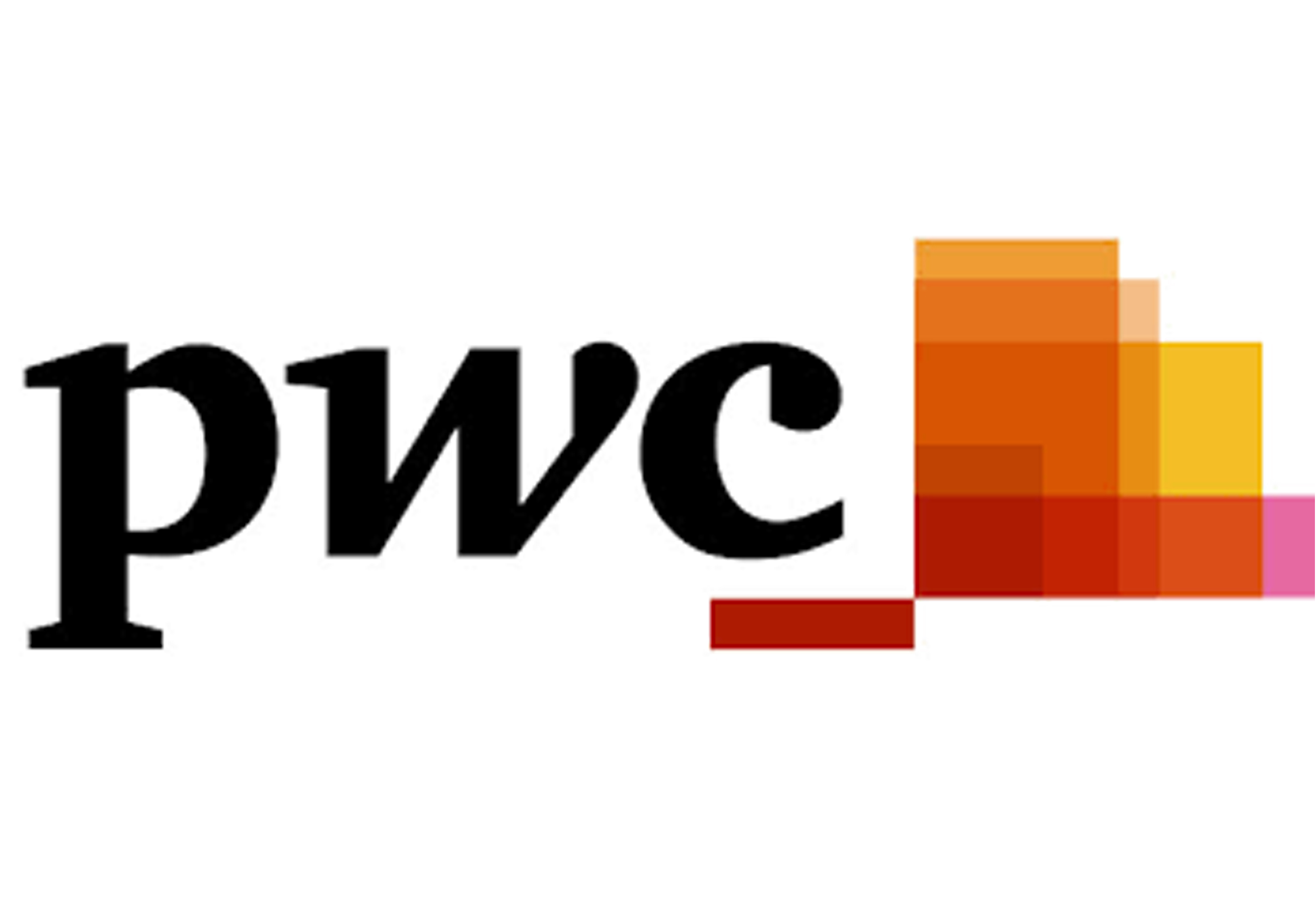 paperwings-consulting-dannyherzogbraune-pwc-price-waterhouse-coopers